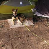 Review photo of Tuttletown Recreation Area by Jordan L., March 23, 2022