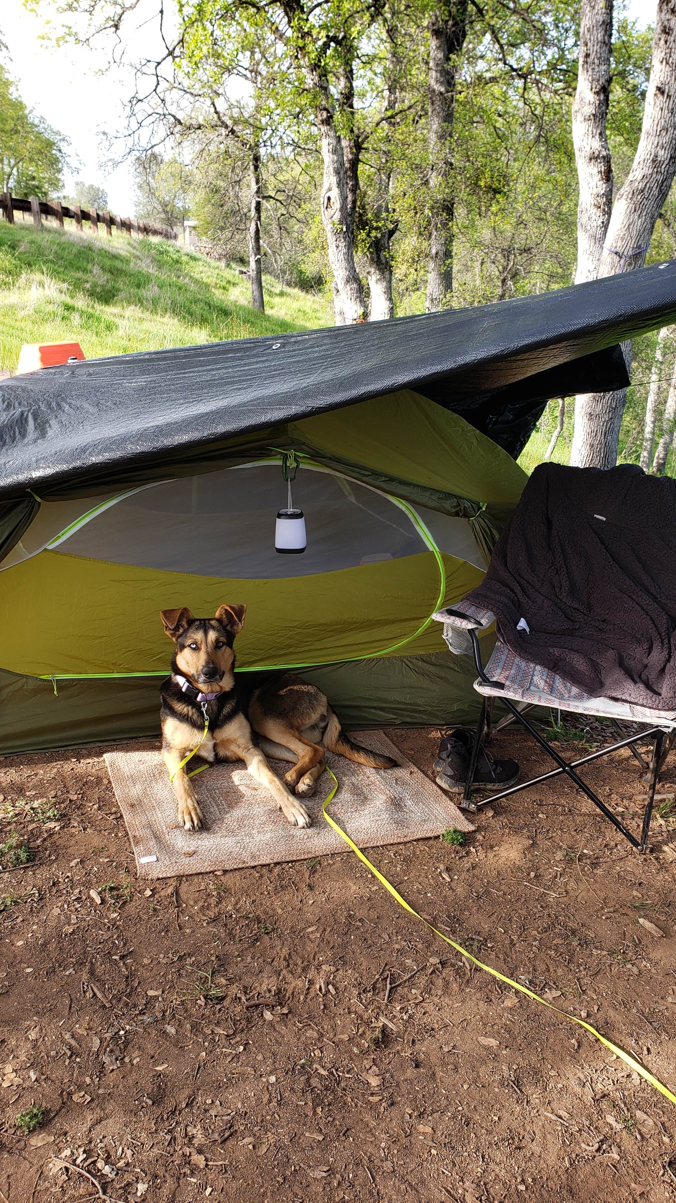 Camper submitted image from Manzanita Campground - Tuttletown Rec Area - New Melones Lake - 1