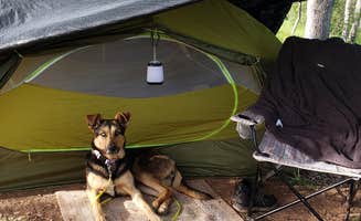 Jordan L.'s photo at Tuttletown Recreation Area near Sonora, CA