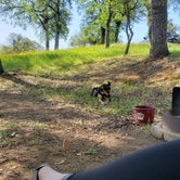 Review photo of Manzanita Campground - Tuttletown Rec Area - New Melones Lake by Jordan L., March 23, 2022