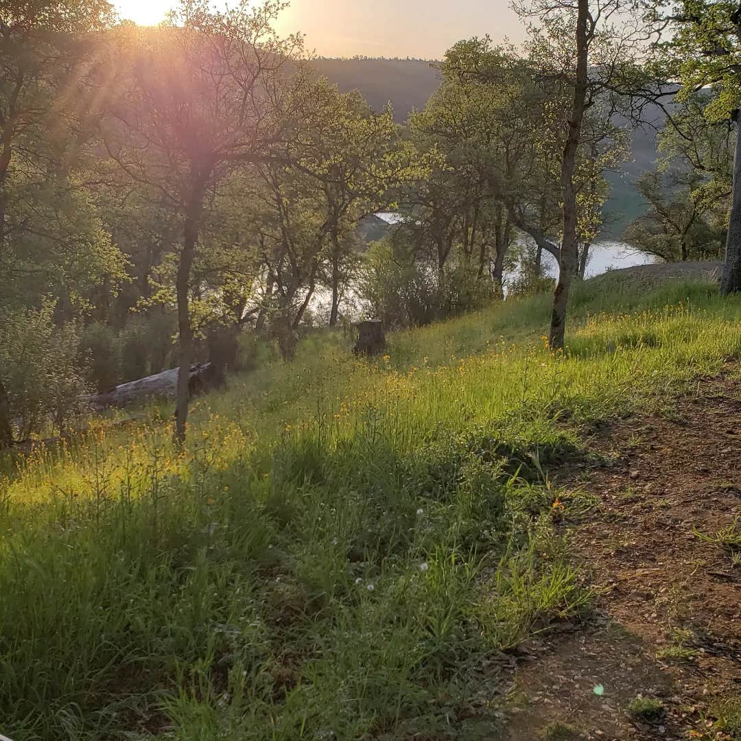 Camper-submitted photo at Tuttletown Recreation Area near Cedar Ridge, CA