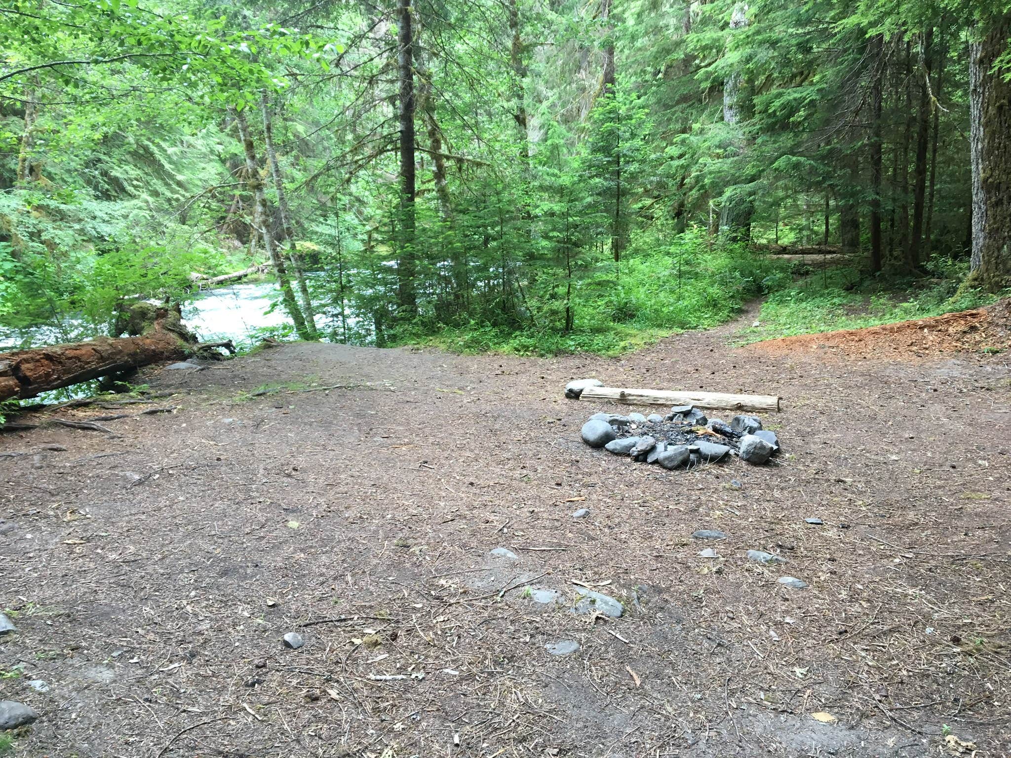 Camper-submitted photo at Slab Camp/Deer Ridge Trailhead near Port Townsend, WA