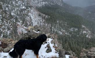 JEFF S.'s photo of camping with pets at Dispersed on 4 - Fenton Lake State Park in New Mexico