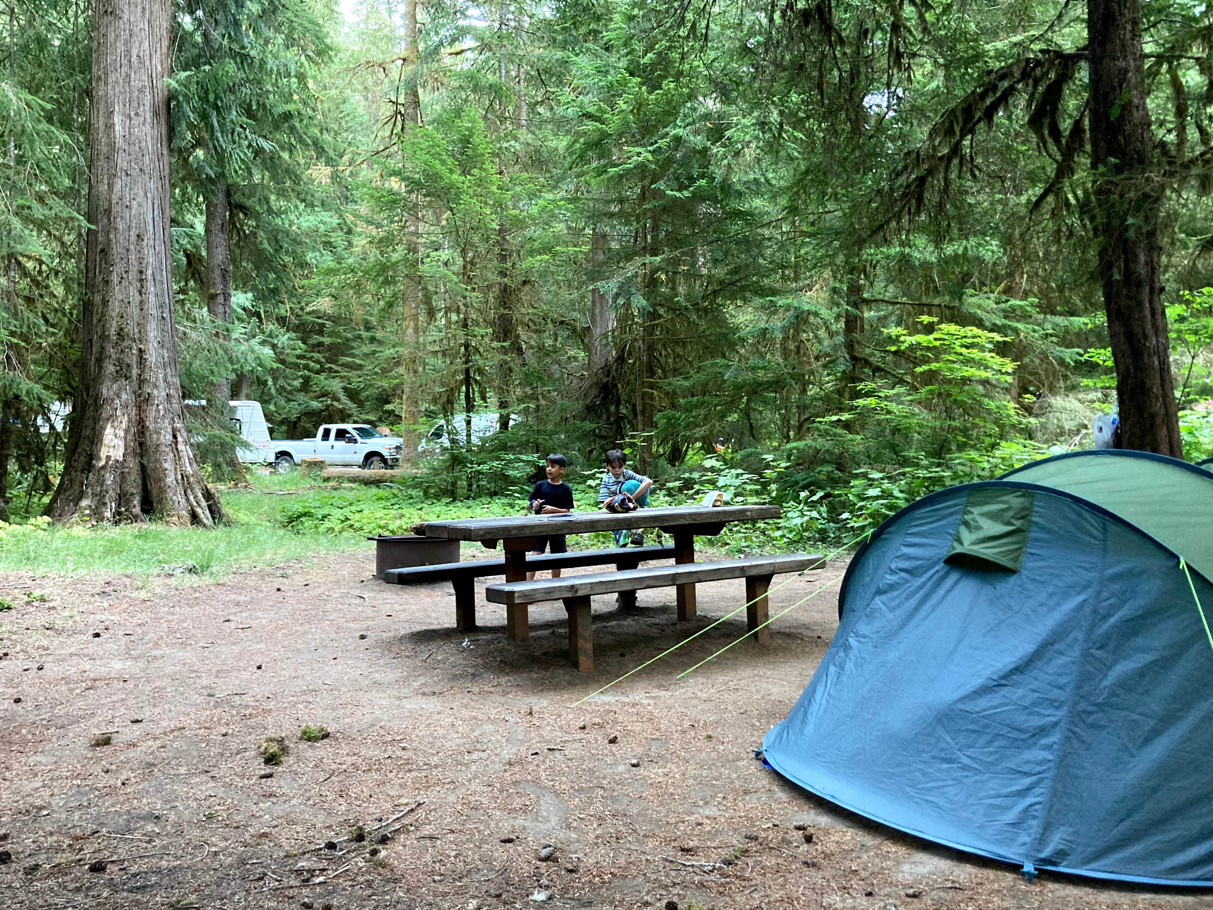 Veronica S.'s photo at La Wis Wis Campground near Packwood, WA