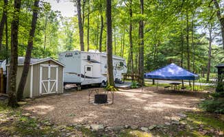 Horizon M.'s photo at Rvino - Campers Paradise near Sigel, PA