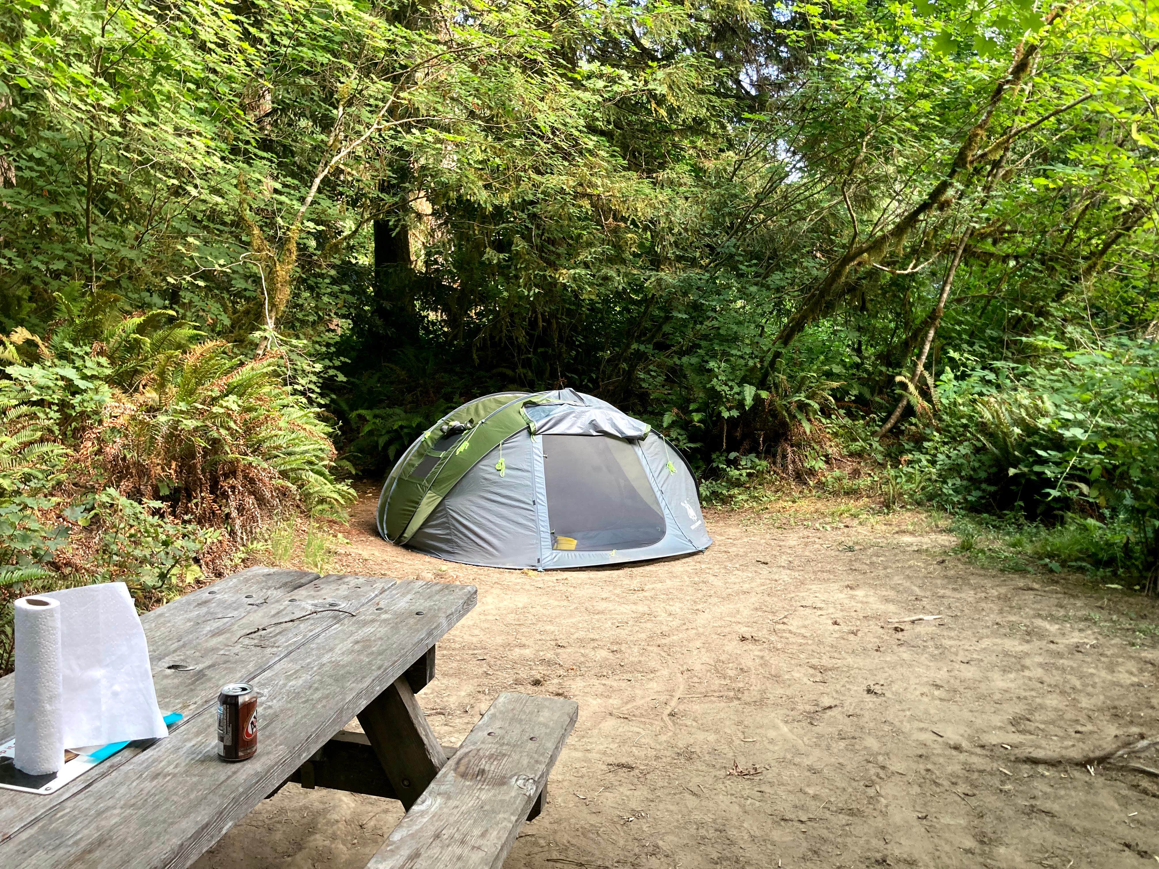 Veronica S.'s photo at Mill Creek Campground — Del Norte Coast Redwoods State Park near Hiouchi, CA