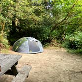 Review photo of Mill Creek Campground — Del Norte Coast Redwoods State Park by Veronica S., March 23, 2022