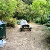 Review photo of Mill Creek Campground — Del Norte Coast Redwoods State Park by Veronica S., March 23, 2022