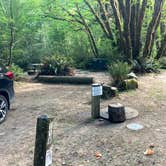 Review photo of Mill Creek Campground — Del Norte Coast Redwoods State Park by Veronica S., March 23, 2022