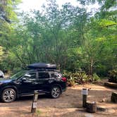 Review photo of Mill Creek Campground — Del Norte Coast Redwoods State Park by Veronica S., March 23, 2022