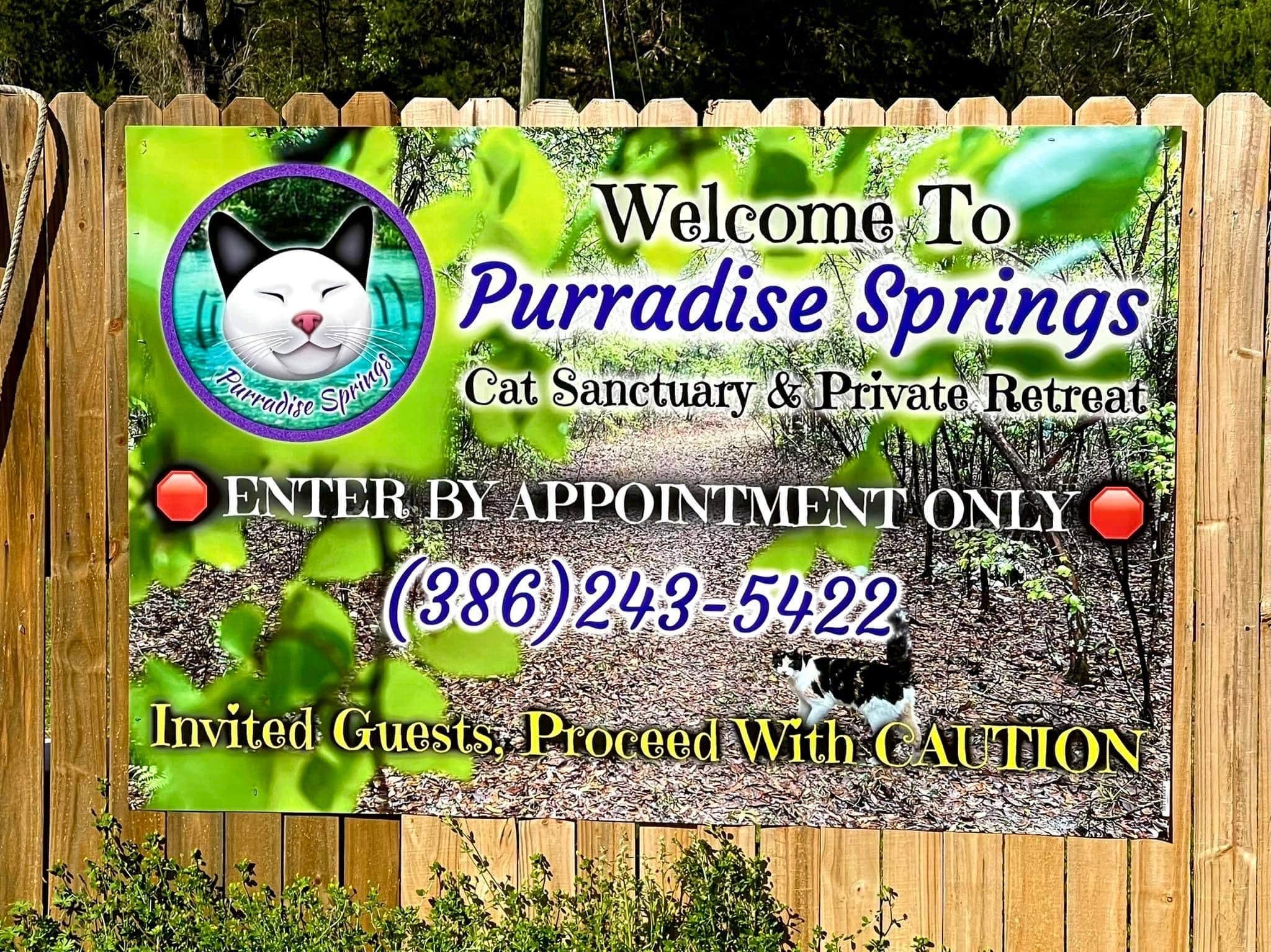 Camper submitted image from Purradise Springs - 2