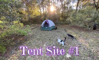 Denise H.'s photo at Purradise Springs near Branford, FL