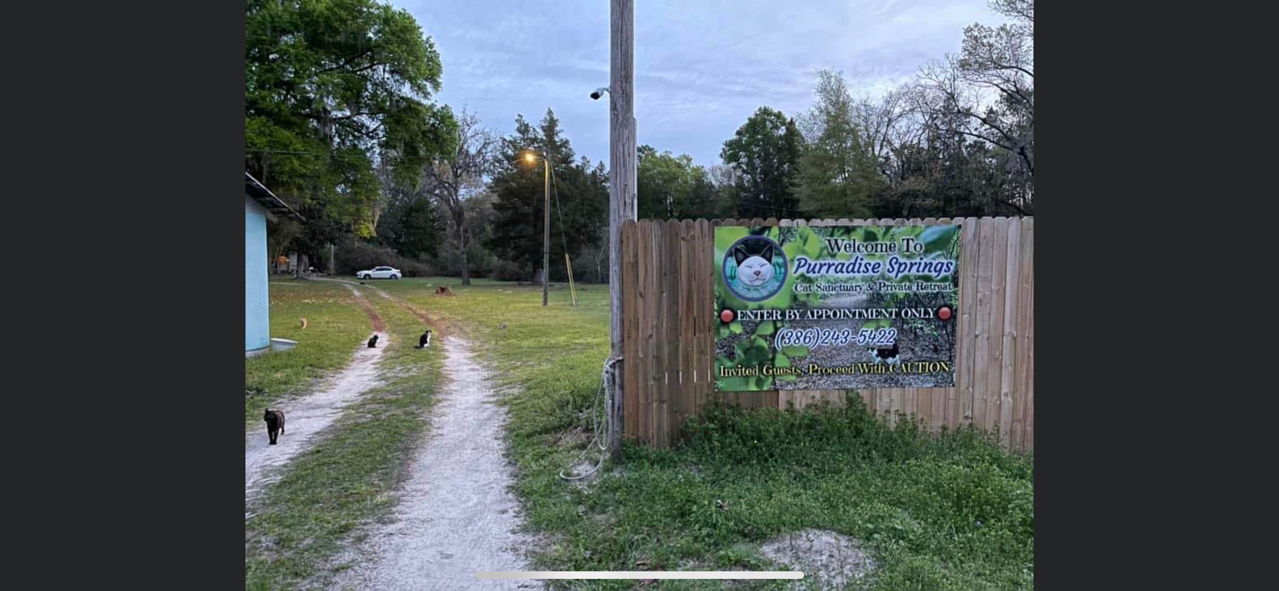 Purradise Springs Camping Fort White, FL