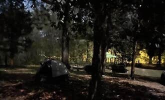 Camping near Moonshine Acres RV Park: Purradise Springs , Fort White, Florida