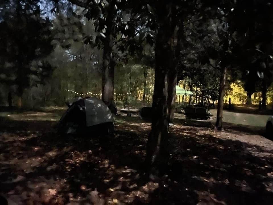 Purradise Springs Camping Fort White, FL