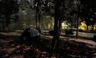 Denise H.'s photo at Purradise Springs near Fort White, FL
