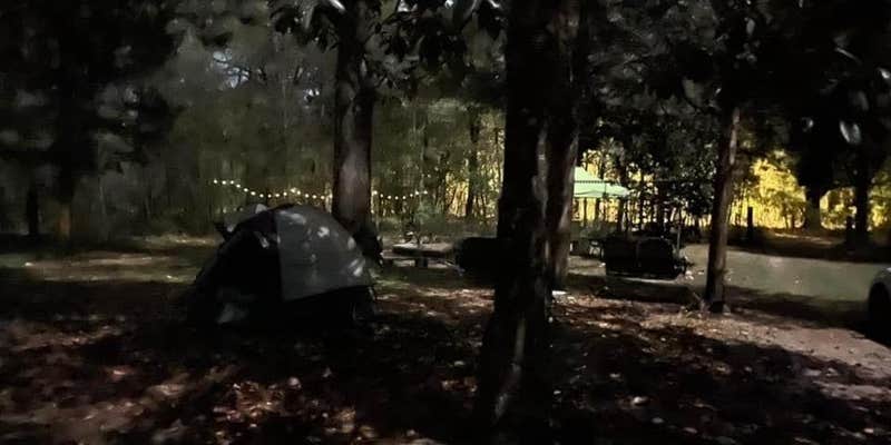 Camper submitted image from Purradise Springs