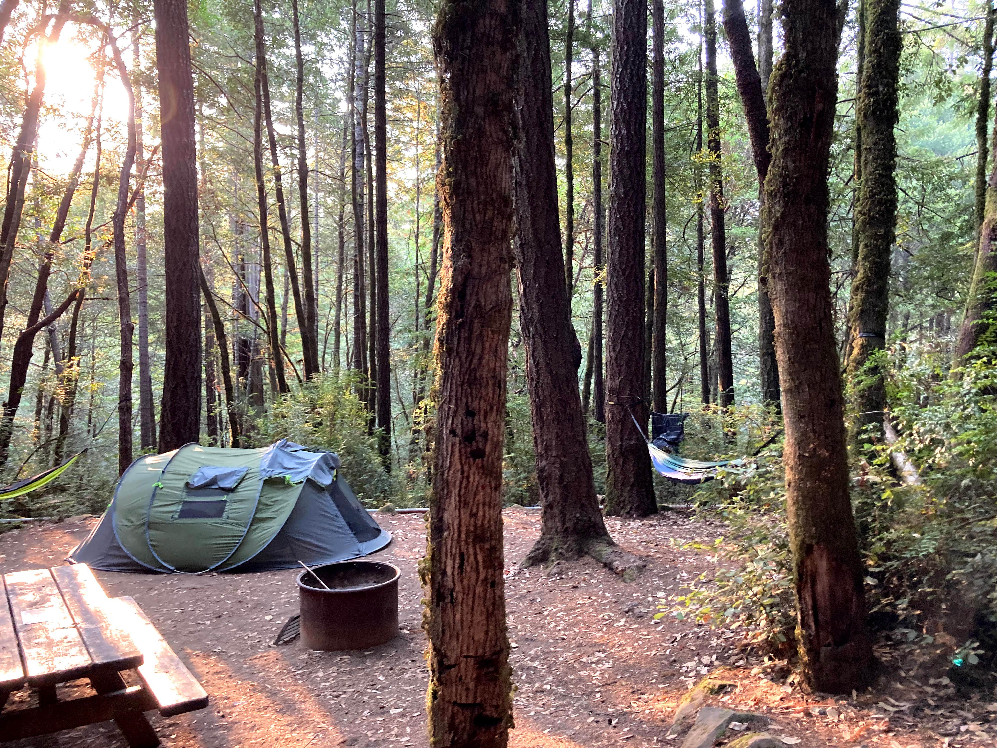 Veronica S.'s photo at Hidden Springs Campground — Humboldt Redwoods State Park near Weott, CA