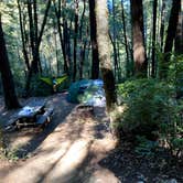 Review photo of Hidden Springs Campground — Humboldt Redwoods State Park by Veronica S., March 23, 2022