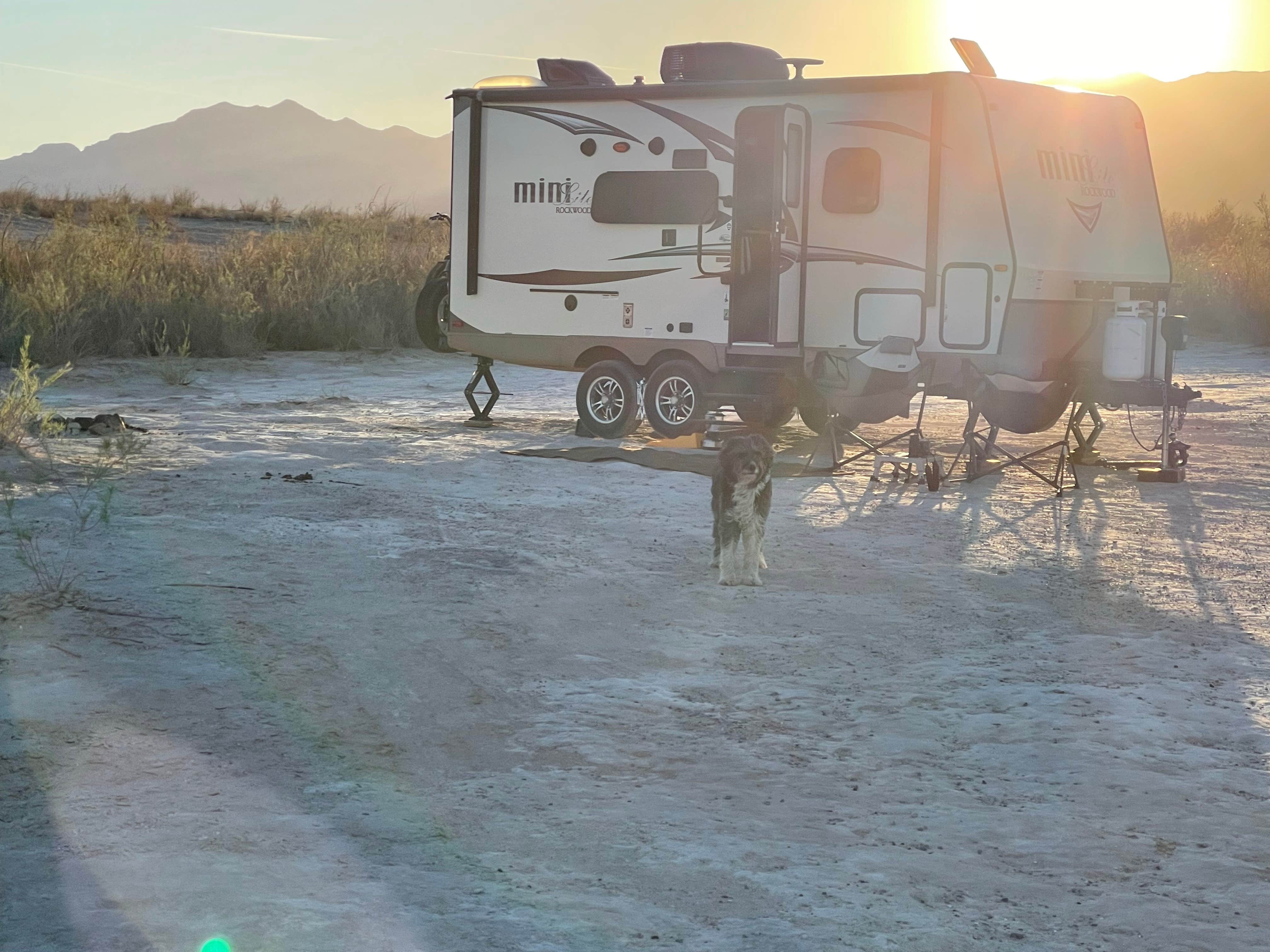 Cathy B.'s photo of camping with pets at Stewart’s Point Dispersed Camping — Lake Mead National Recreation Area in Nevada