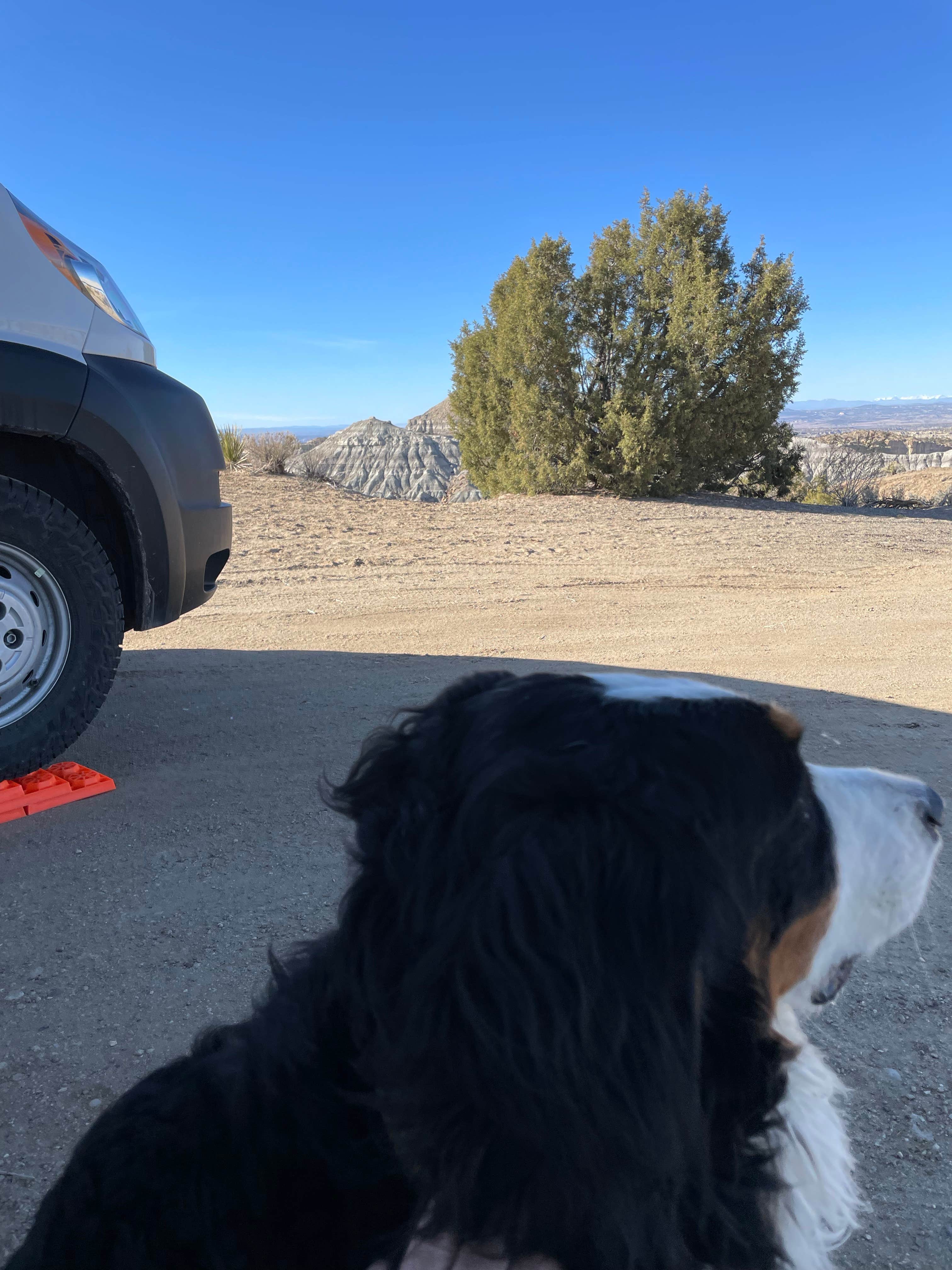 JEFF S.'s photo of camping with pets at Angel Peak Scenic View Campground near Farmington, NM