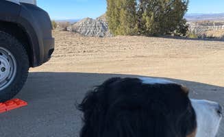 JEFF S.'s photo of camping with pets at Angel Peak Scenic View Campground near Nageezi, NM