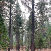 Review photo of General Creek Campground — Ed Z'Berg Sugar Pine Point State Park by Veronica S., March 23, 2022