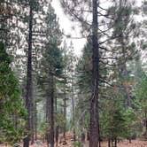 Review photo of General Creek Campground — Sugar Pine Point State Park by Veronica S., March 23, 2022