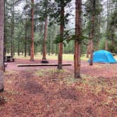 Review photo of Madison Campground — Yellowstone National Park by Veronica S., March 24, 2022