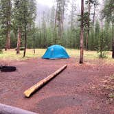 Review photo of Madison Campground — Yellowstone National Park by Veronica S., March 24, 2022