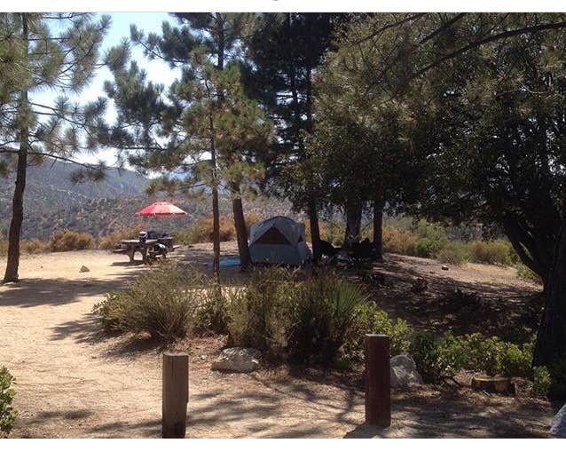 Melinda M.'s photo at Chilao Campground near Palmdale, CA