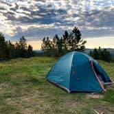 Review photo of Mt. Roosevelt Dispersed Camping by Veronica S., March 24, 2022