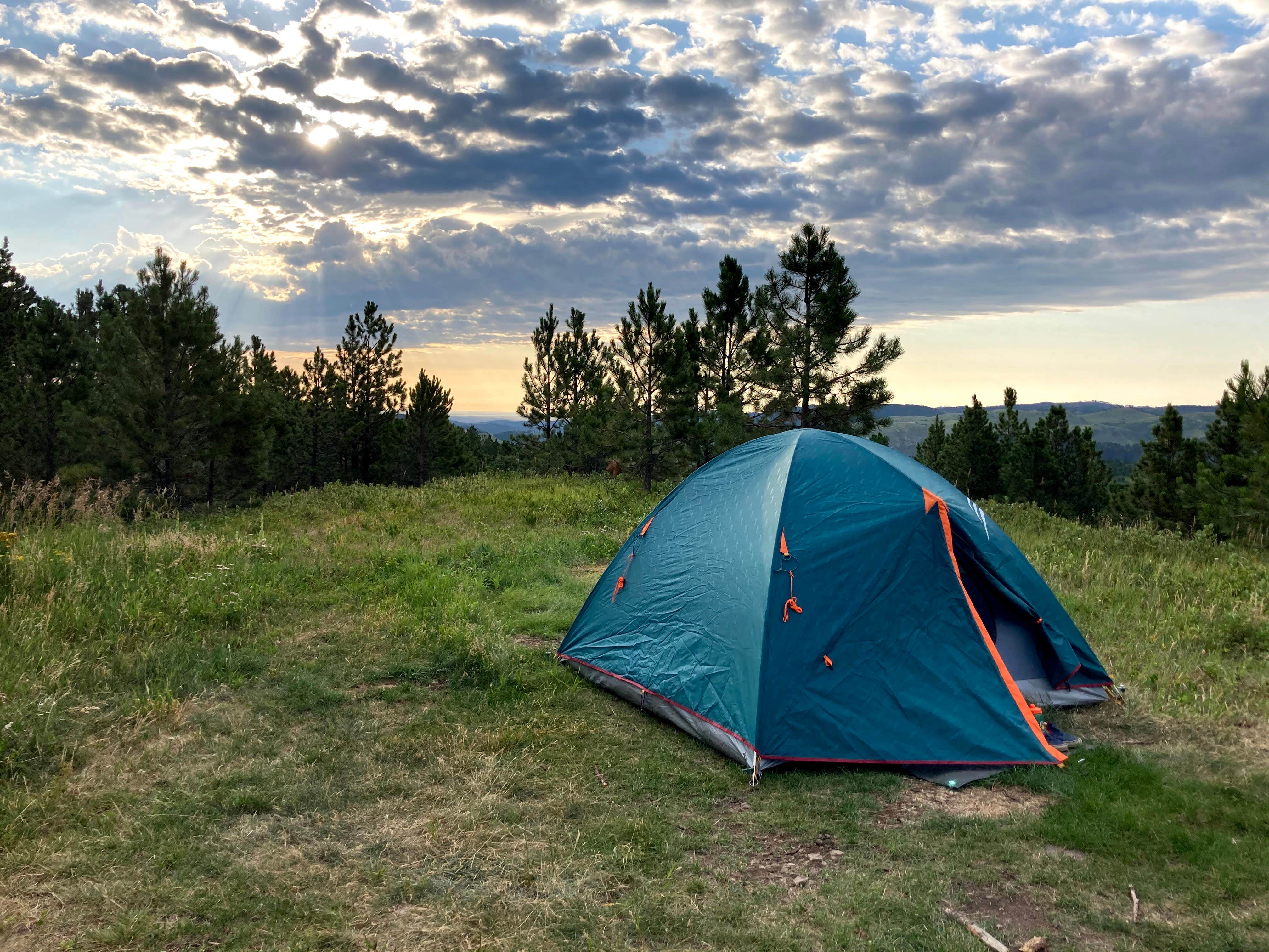 Camper submitted image from Mt. Roosevelt Dispersed Camping - 1