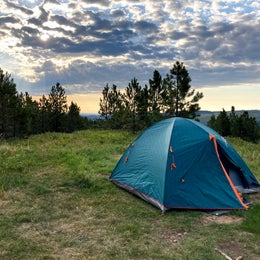 Mt. Roosevelt Dispersed Camping