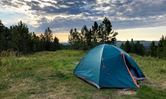Camping near Wickiup Village Cabins: Mt. Roosevelt Dispersed Camping, Deadwood, South Dakota