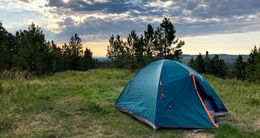 Mt. Roosevelt Dispersed Camping