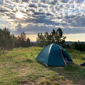 Review photo of Mt. Roosevelt Dispersed Camping by Veronica S., March 24, 2022