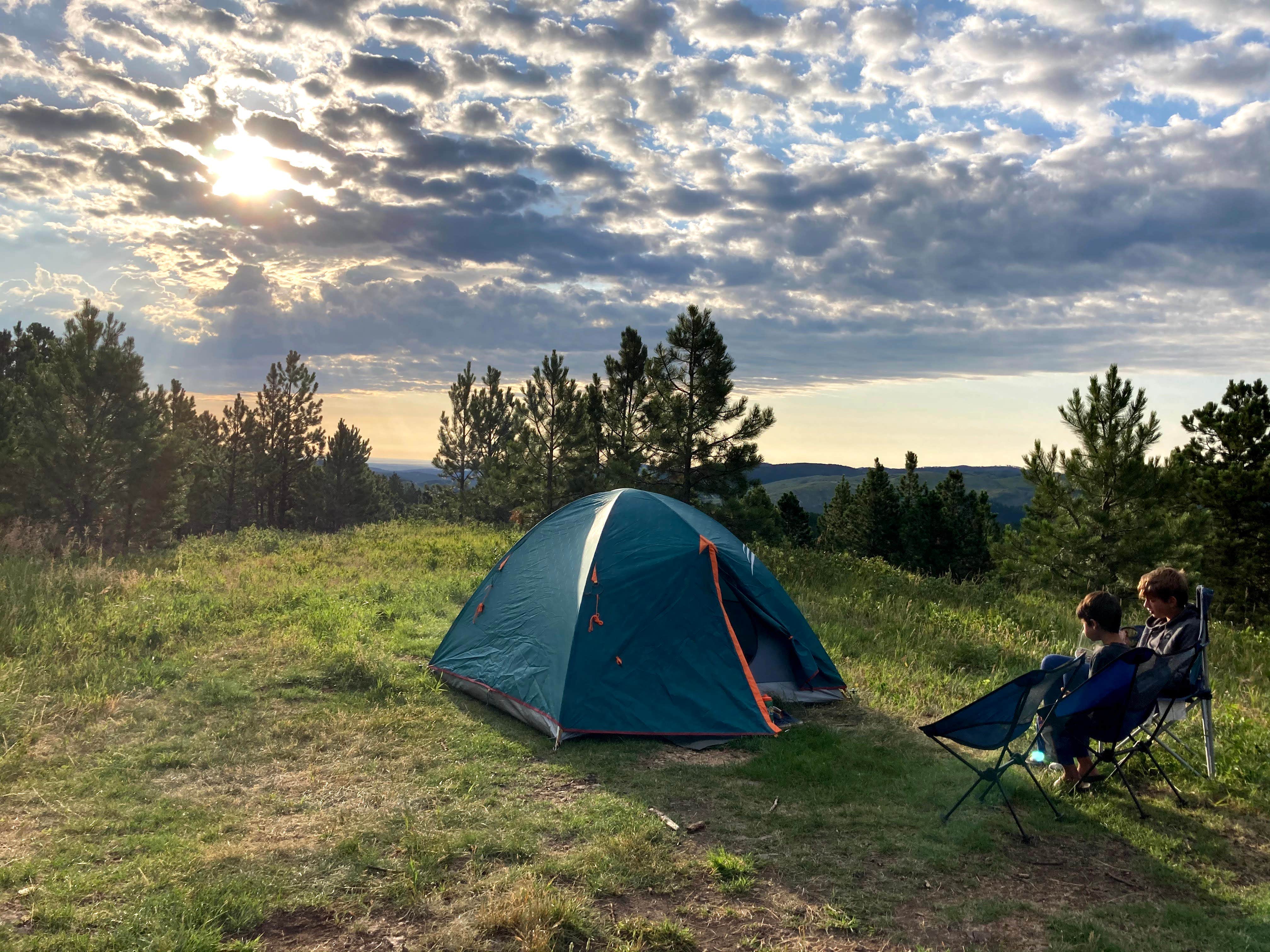 Camper submitted image from Mt. Roosevelt Dispersed Camping - 4