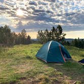 Review photo of Mt. Roosevelt Dispersed Camping by Veronica S., March 24, 2022