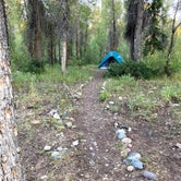 Review photo of Gros Ventre Campground — Grand Teton National Park by Veronica S., March 24, 2022