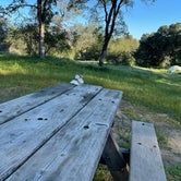 Review photo of Beals Point Campground — Folsom Lake State Recreation Area by Brian A., March 24, 2022