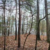 Review photo of Shady Grove Campground by Jeanne W., March 24, 2022