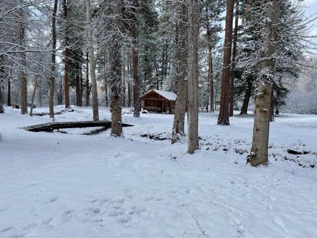 Camper-submitted photo at The Holmestead - Dry Cabin near Florence, MT