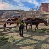 Review photo of Fruita Campground — Capitol Reef National Park by Becbecandbunny O., March 24, 2022