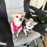 Review photo of Hickory Hill Camping Resort by Anne O., July 11, 2018