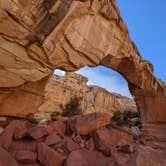 Review photo of Fruita Campground — Capitol Reef National Park by Becbecandbunny O., March 24, 2022