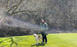 alyssa P.'s photo of camping with pets at Pigeon Forge RV Resort near Pigeon Forge, TN