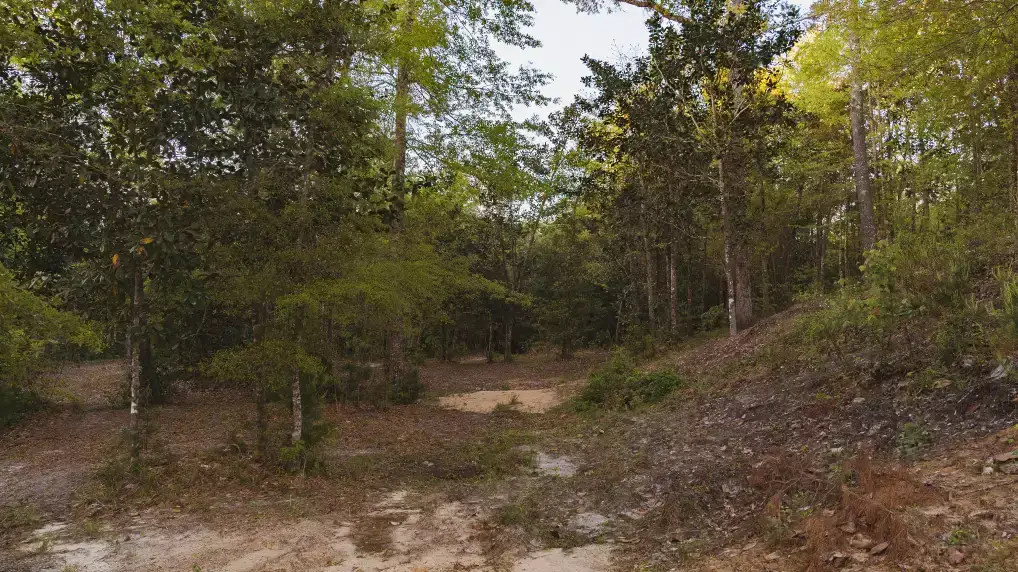 Camper-submitted photo at Creekside Farm Co. near Picayune, MS