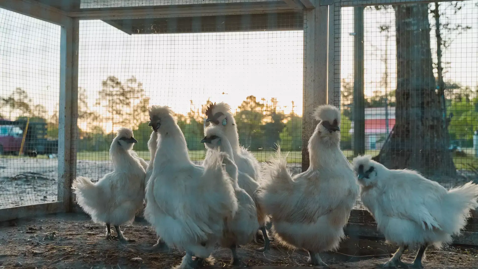Camper-submitted photo at Creekside Farm Co. near Picayune, MS