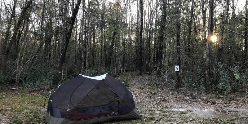 Camper submitted image from Creekside Farm Co.